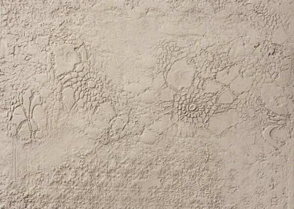 Textured clay Wall Plaster_Matteo Brioni_TerraEvoca_4 layers_ Elementi Concept